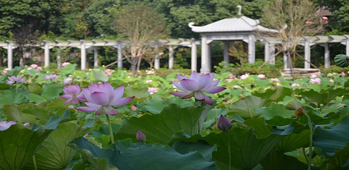 襄阳黄家湾景区第 35 张图片