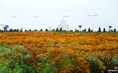 花仙子风景区第 9 张图片