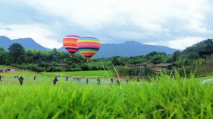 花小原景区第 8 张图片