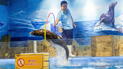 东莞海洋馆-恒远海立方环游城第 10 张图片