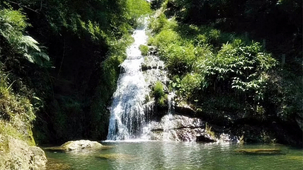 银水侗寨鱼餐馆第 3 张图片