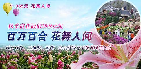 花舞人间第 88 张图片