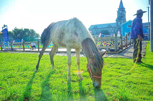 海之湾山海乐园