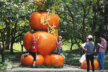 西溪国家湿地公园第 163 张图片