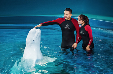 三亚亚特兰蒂斯失落的空间水族馆第 25 张图片
