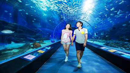 海合安成都极地海洋公园第 155 张图片