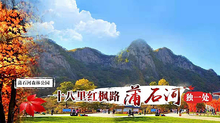 蒲石河森林公园第 19 张图片