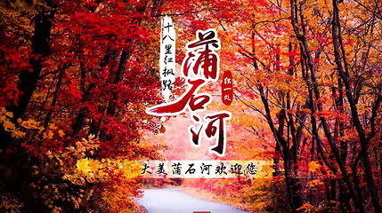 蒲石河森林公园第 27 张图片