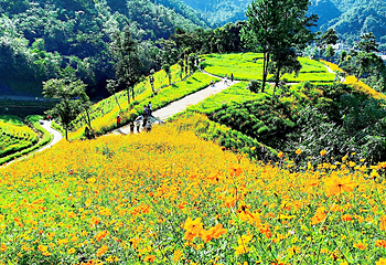 清泉湾生态旅游度假区第 18 张图片