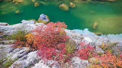 郑国渠旅游风景区第 35 张图片