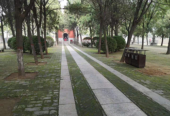 袁林第 19 张图片