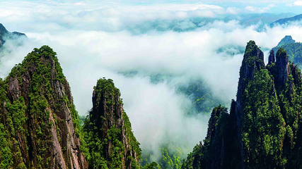 莽山五指峰景区第 60 张图片
