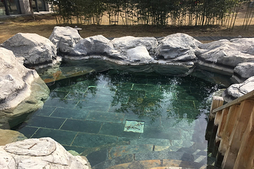和园景逸大酒店朗月汤泉第 40 张图片