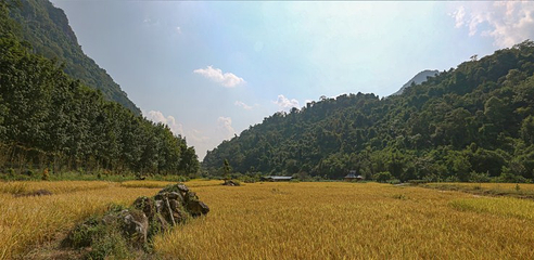 勐远仙境第 123 张图片