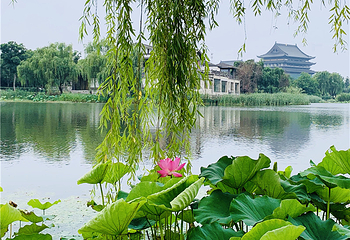 苏州阳澄湖半岛旅游度假区第 34 张图片