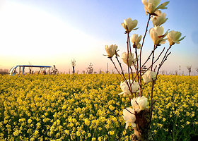 花千谷文化旅游景区