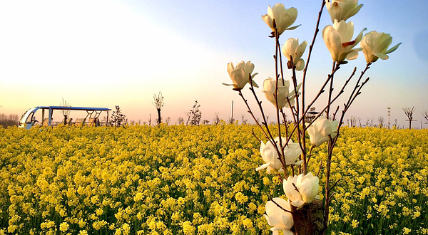花千谷文化旅游景区