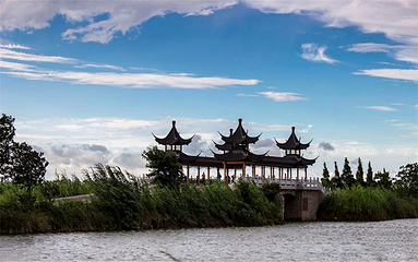 泗洪洪泽湖湿地景区第 33 张图片