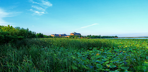 衡水湖旅游景区第 3 张图片