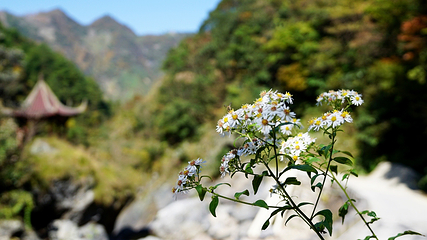十门峡景区第 51 张图片