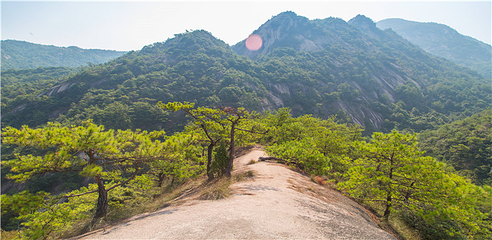 龙须山景区第 19 张图片