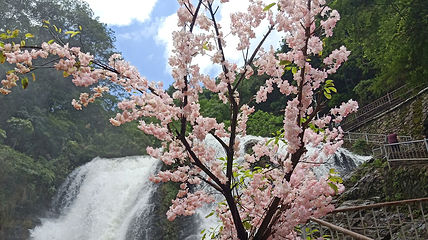 天湖旅游风景区第 41 张图片