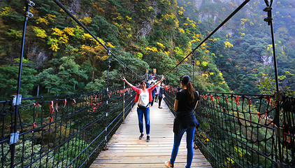 萍乡武功山风景区第 36 张图片