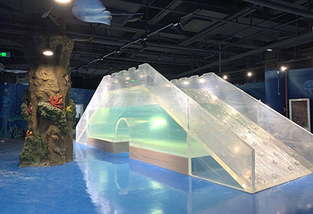 塔高海洋萌宠馆第 41 张图片