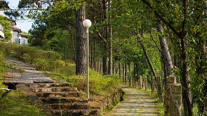 大洋国际生态旅游区第 22 张图片