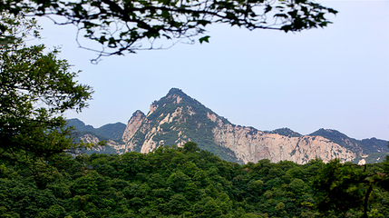 少华山国家森林公园第 55 张图片