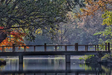 西湖风景名胜区第 95 张图片
