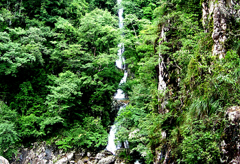 三百山景区第 52 张图片