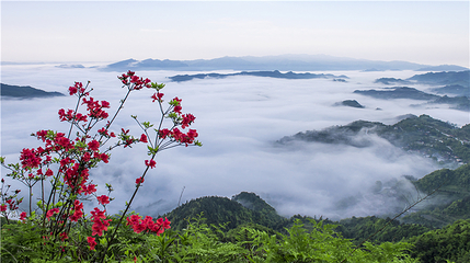 仙人街景区第 62 张图片