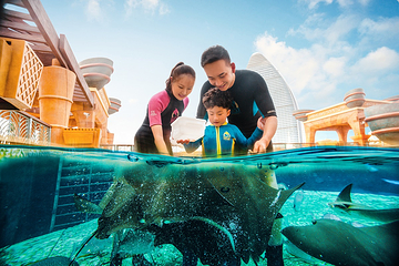 三亚亚特兰蒂斯失落的空间水族馆第 38 张图片