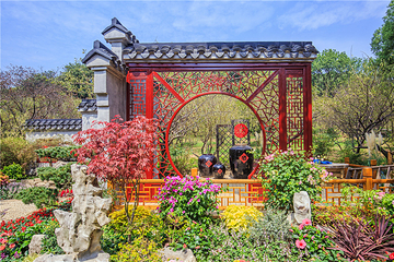 梅园第 83 张图片