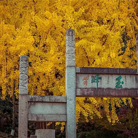 亭林园