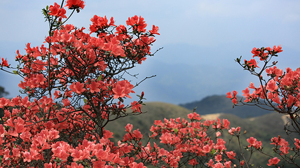 新兴天露山旅游度假区第 85 张图片