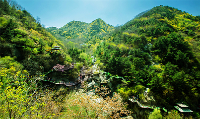 九如山休闲旅游度假区第 170 张图片
