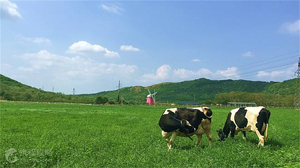 铭湖国际牧场第 9 张图片