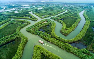 泗洪洪泽湖湿地景区第 23 张图片