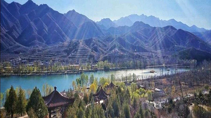 百里山水画廊—硅化木第 1 张图片