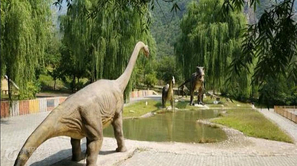 百里山水画廊—硅化木第 4 张图片