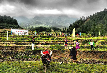 清远金子山原生态旅游风景区第 63 张图片