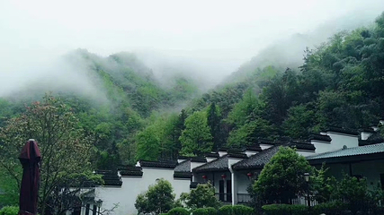 神龙川风景区第 48 张图片