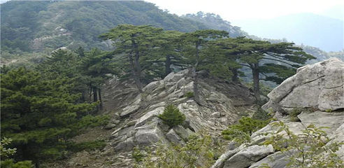 大别山主峰景区白马尖第 33 张图片