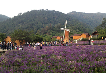 德庆盘龙峡生态旅游区第 18 张图片
