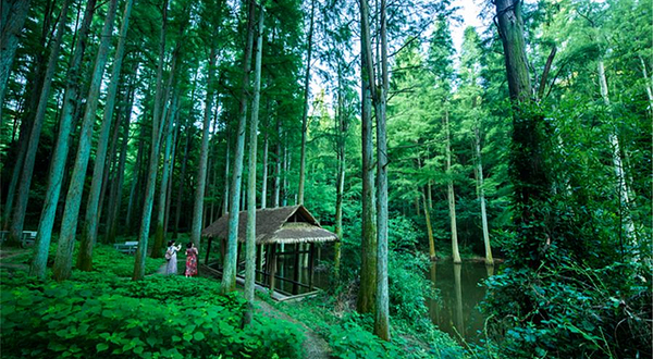 波尔登森林公园