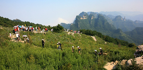 王莽岭风景区第 39 张图片