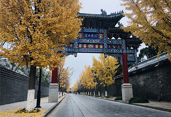 曲阜三孔景区第 93 张图片