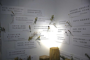 厦门星空恋爱博物馆(世茂Emall店)第 9 张图片